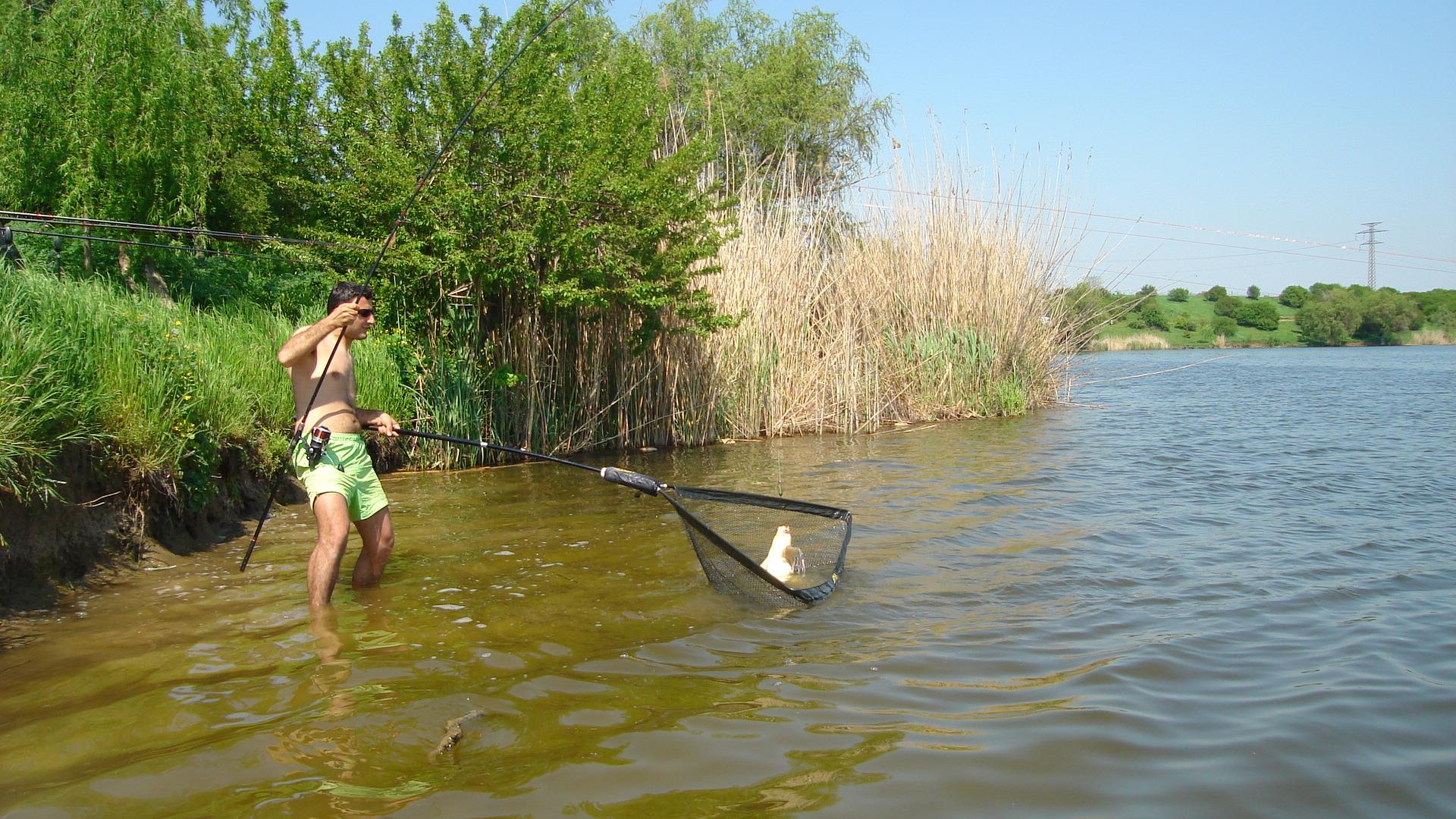 Tancabesti - dsc0331411.JPG